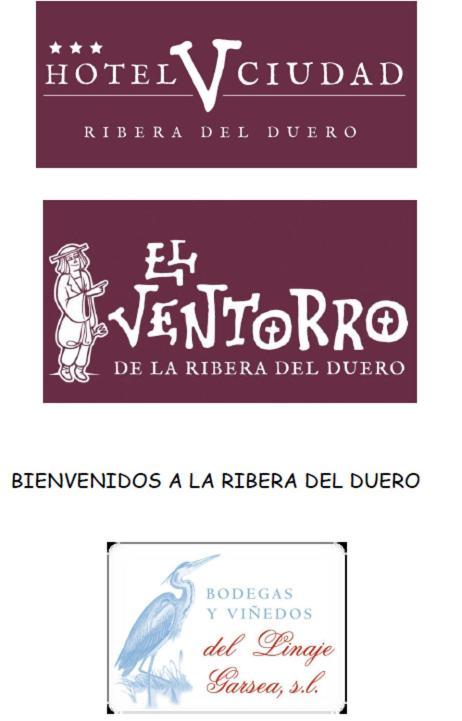 Hotel V.Ciudad Aranda de Duero Extérieur photo