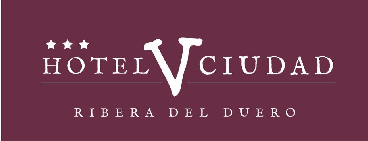 Hotel V.Ciudad Aranda de Duero Extérieur photo